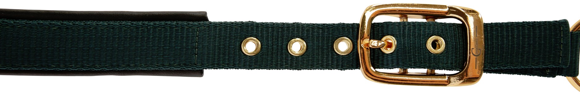 Halfter TopLine Größe 4, grün Halfter TopLine Größe 4, grün