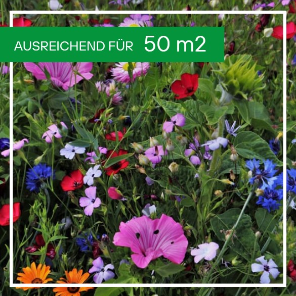 Blumen- Naturwiese 500g für ca. 50m2
