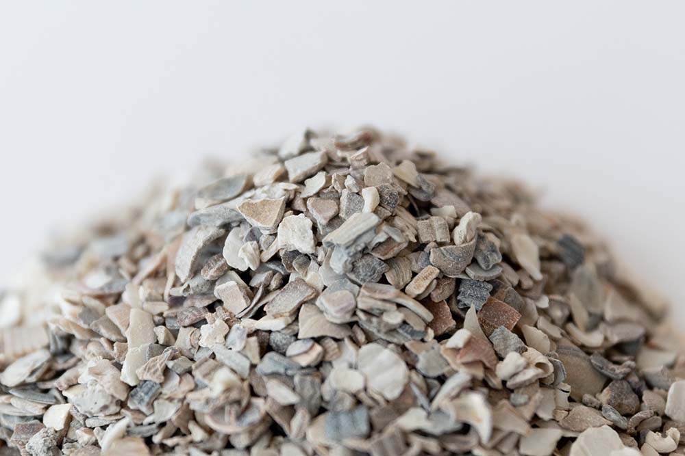 Austernschalen 5 Austernschalen für Hühner und Geflügel, 1kg
