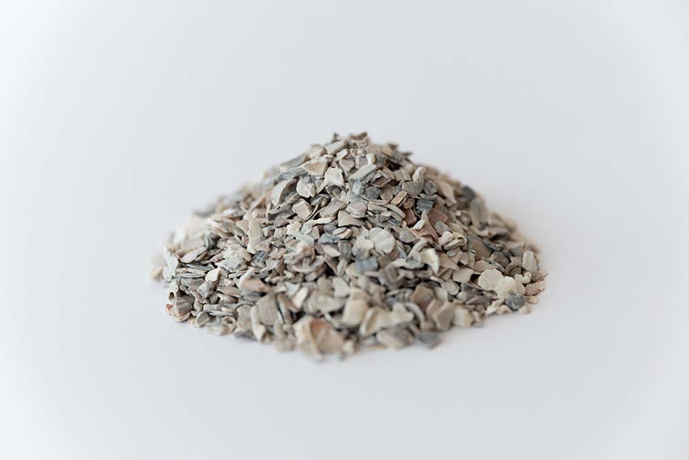 Austernschalen 2 Austernschalen für Hühner und Geflügel, 1kg
