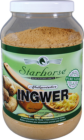 Starhorse Ingwer, 900g