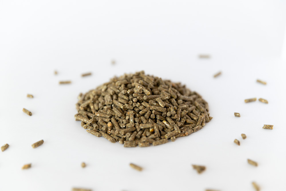 BIO Alpha Lämmerfutter, 25kg