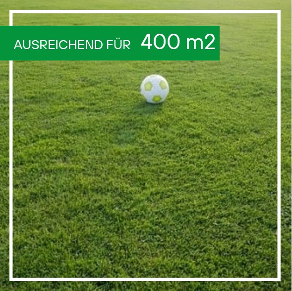 Spiel- und Sportrasen, 10kg 