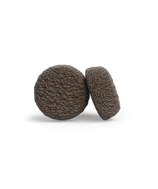 Josera Duck & Potatoe, 900g