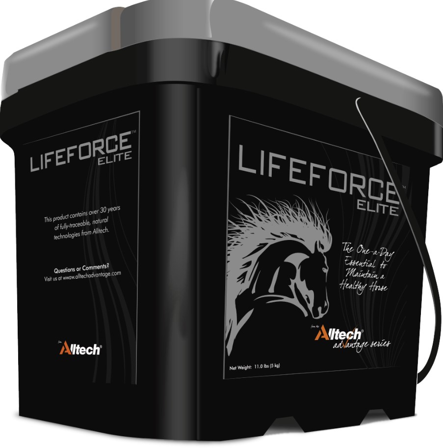 Elité Lifeforce, 5kg