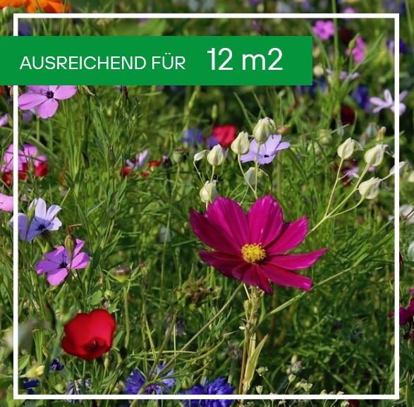LaFleur miel / die Honigspenderin, 50g